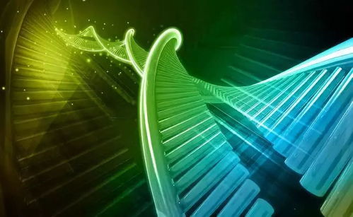 溫州生材所聯(lián)合上海交大、浙大成立研發(fā)中心，生物基材料技術(shù)助力阿爾茨海默癥治療